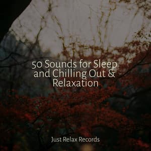 50 Sounds for Sleep and Chilling Out & Relaxation - Musica romantica instrumental