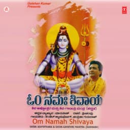 Om Namah Shivaya - Shankar Shambhu Qawwal