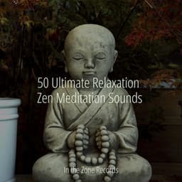 50 Ultimate Relaxation Zen Meditation Sounds - Bedtime Lullabies