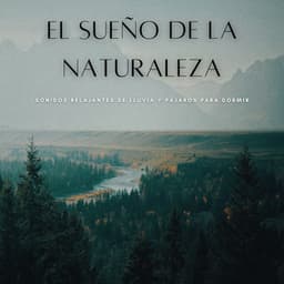 El Sueño De La Naturaleza: Sonidos Relajantes De Lluvia Y Pájaros Para Dormir - Sonidos de lluvia para dormir profundo
