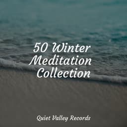 50 Winter Meditation Collection - It's Raining