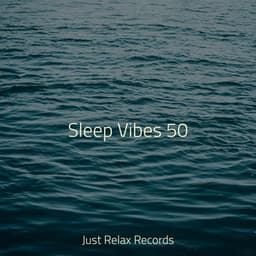 Sleep Vibes 50 - Baby Songs & Lullabies For Sleep