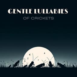Gentle Lullabies of Crickets - Insomnia Music Universe
