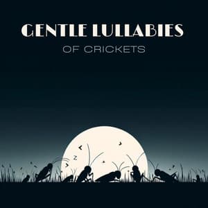 Gentle Lullabies of Crickets - Insomnia Music Universe