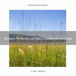 Sonidos Perfectos del Mar y Ruido para Estudiar - Ruido Blanco