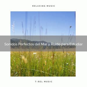 Sonidos Perfectos del Mar y Ruido para Estudiar - Ruido Blanco