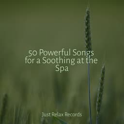 50 Powerful Songs for a Soothing at the Spa - Sonido Del Bosque y Naturaleza
