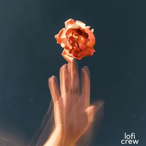 Focus with Delicate Lofi - Study Calm Sounds