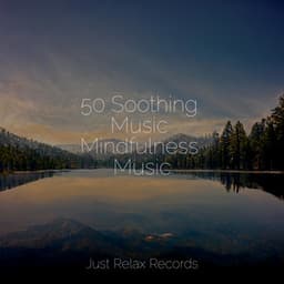 50 Soothing Music Mindfulness Music - Lucid Dreaming World-Collective Unconscious Mind