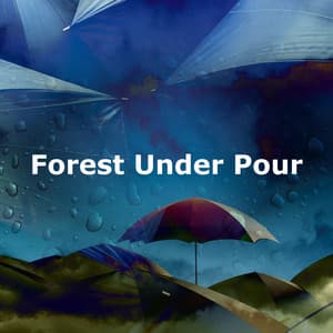 Forest Under Pour - The Sleep Helpers