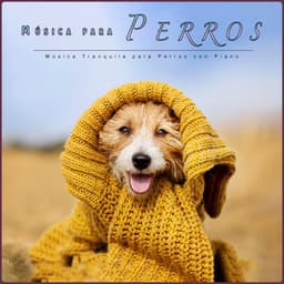 Música para Perros: Música Tranquila para Perros con Piano - Música Para Perros