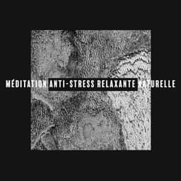 Méditation anti-stress relaxante naturelle - Sanctuaire de méditation bouddhiste