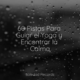 60 Pistas Para Guiar el Yoga y Encontrar la Calma - Masaje Tantrico Musica Colección