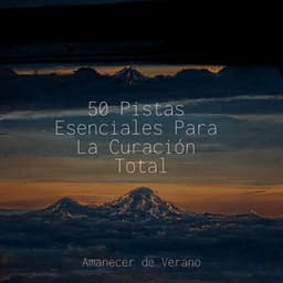 50 Pistas Esenciales Para La Curación Total - kinderliedjes