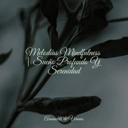 Melodías Mindfulness | Sueño Profundo Y Serenidad - Dormir