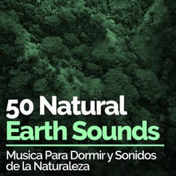 50 Natural Earth Sounds - Musica Para Dormir y Sonidos de la Naturaleza