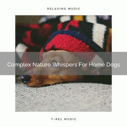 Complex Nature Whispers For Home Dogs - Pets Relax
