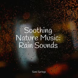 Soothing Nature Music: Rain Sounds - Rain Recorders
