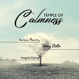 Temple of Calmness: Relaxing Nature Sounds of Wind, Rain and River for Meditation and Yoga. Natural Healing Through Music - Anandra