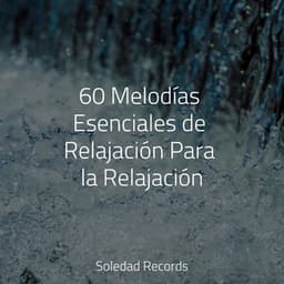 60 Melodías Esenciales de Relajación Para la Relajación - Música Para Meditar y Relajarse