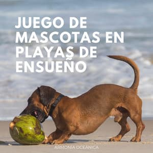 Juego De Mascotas En Playas De Ensueño: Armonía Oceánica - Música de la Naturaleza