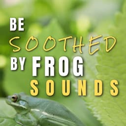 Be Soothed by Frog Sounds - Frog Sounds
