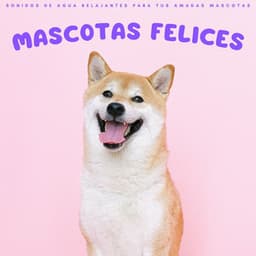 Mascotas Felices: Sonidos De Agua Relajantes Para Tus Amadas Mascotas - Música relajante para mascotas