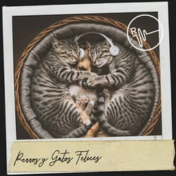 Perros y Gatos Felices: Melodías Mágicas para Mascotas - Cat Music