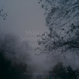 Música De Serenidad Para Relajarse - El hada de las canciones de cuna