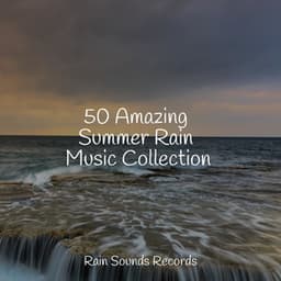 50 Amazing Summer Rain Music Collection - Music For Absolute Sleep
