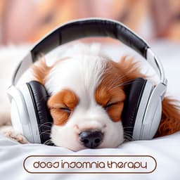 Dogs Insomnia Therapy: Relaxing Music for Dogs Deep Sleep, Separation Anxiety, Stress Relief - Calm Pets Music Academy