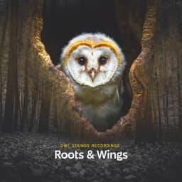 Roots & Wings - Owl Sounds Recordings