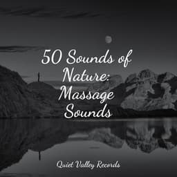 50 Sounds of Nature: Massage Sounds - Nature Chillout