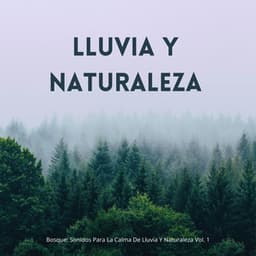 Bosque: Sonidos Para La Calma De Lluvia Y Naturaleza Vol. 1 - Efectos especiales del bosque