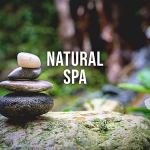 Natural Spa: Meditative Sound of a Hot Spring Surrounded by Rolling Hills and Forests - Relaxing White Noise Sounds