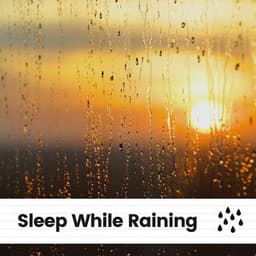 Sleep While Raining - Rain Sounds & White Noise