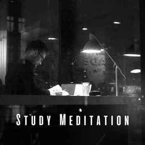 Study Meditation: Tranquil Rain Tunes for Mindful Absorption - Kundalini