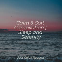 Calm & Soft Compilation | Sleep and Serenity - Sleepy Night Music