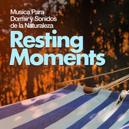 Resting Moments - Musica Para Dormir y Sonidos de la Naturaleza