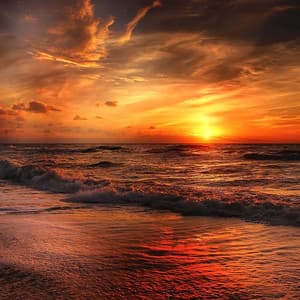 Enchanting Elixir - Oceara