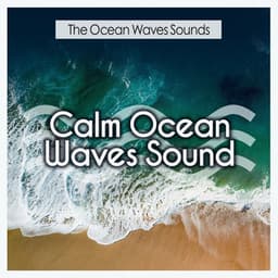 Calm Ocean Waves Sound - The Ocean Waves Sounds