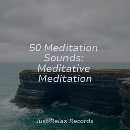 50 Meditation Sounds: Meditative Meditation - Instrumental