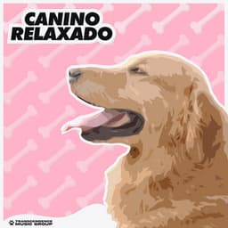 Canino Relaxado - Música de Cachorro Calmante