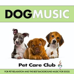 Dog Music For Pet Relaxation and The Best Music For Dogs - Dog Music