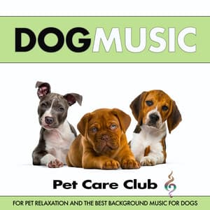 Dog Music For Pet Relaxation and The Best Music For Dogs - Dog Music