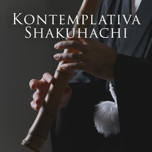 Kontemplativa Shakuhachi: Buddha-meditation med japanska Shakuhachi för inre samtal - Lugnande zen musikzon