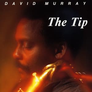 The Tip - David Murray