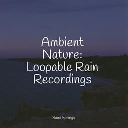 Ambient Nature: Loopable Rain Recordings - It's Raining