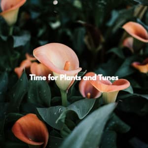 Time for Plants and Tunes - Jazz Suave