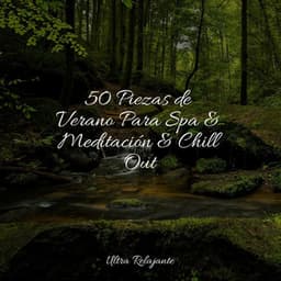 50 Piezas de Verano Para Spa & Meditación & Chill Out - Música para Relaxar Maestro